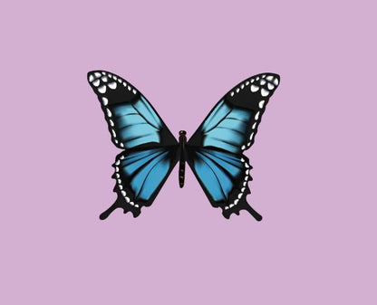 Blue Butterfly