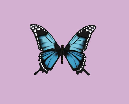 Blue Butterfly
