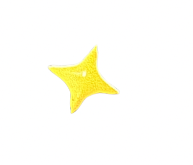 Sparkle Star