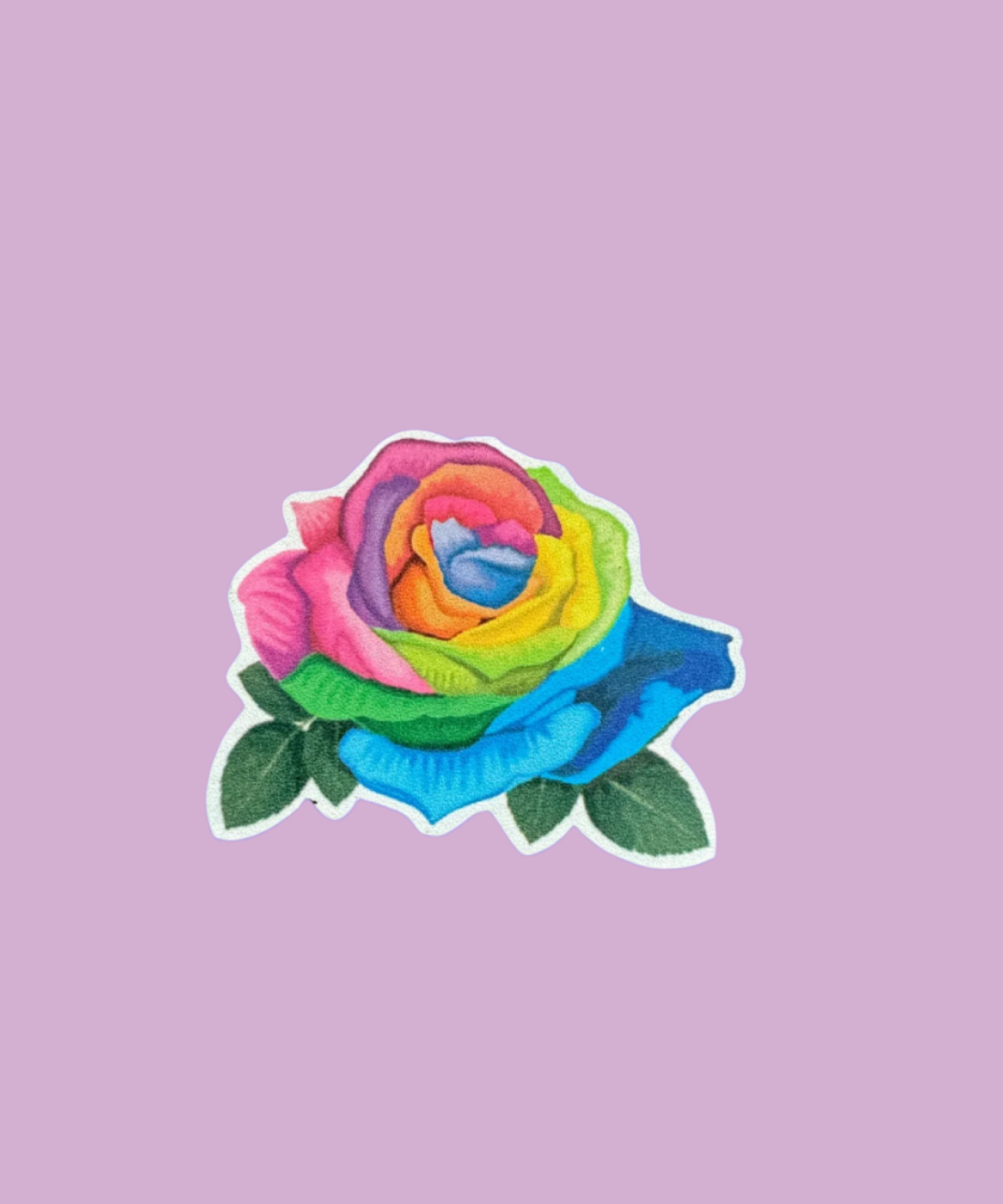 Unicorn Rose